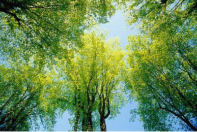 《命运2：邪姬魅影》即将推出 怎样解决游玩中的卡顿延迟